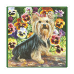Yorkshire Terrier with Pansies Portrait Stretched Canvas Prints