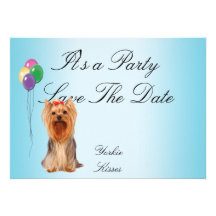 Yorkshire Terrier - Yorkie Kisses Announcement