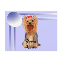 Yorkshire Terrier - Yorkie Kisses Postcards