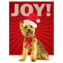 Yorkshire Terrier - Yorkie Santa Clause t-shirts