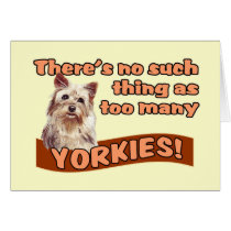 YORKSHIRE TERRIERS cards