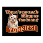 YORKSHIRE TERRIERS POSTCARDS