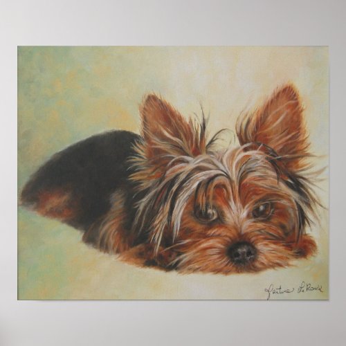 Yorshire Terrier Poster print