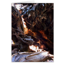 Yosemite Deer - Card by lightningbox Yosemite Deer - Card