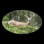 Yosemite Deer Sticker
