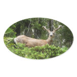 Yosemite Deer Sticker