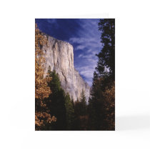 Yosemite, El Capitan Cards