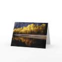 Yosemite Fall Colors cards