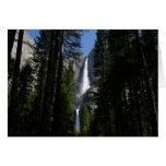 Yosemite Falls and Woods Card
