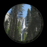 Yosemite Falls and Woods Magnet