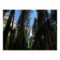 Yosemite Falls and Woods Print