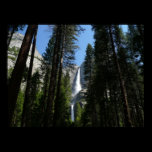 Yosemite Falls and Woods Print