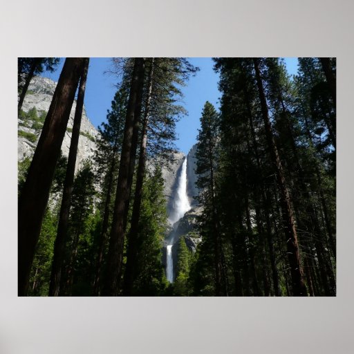 Yosemite Falls and Woods Print