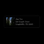Yosemite Falls and Woods Return Address Label