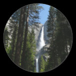 Yosemite Falls and Woods Sticker