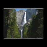 Yosemite Falls II Postcard