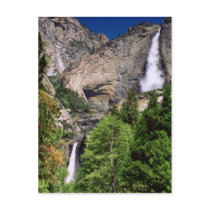 Yosemite Falls Postcard