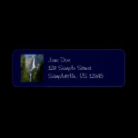 Yosemite Falls Return Address Label