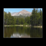 Yosemite Lake Reflection Postcard
