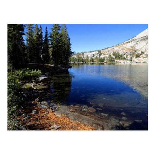 Yosemite May Lake Postcard