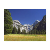 yosemite-meadows postcards