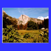 Yosemite National Park California Postcard postcards