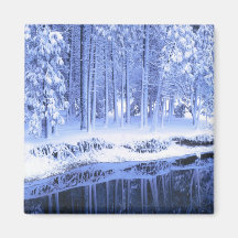 YOSEMITE NATIONAL PARK, CALIFORNIA. USA. Fresh Magnets