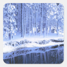 YOSEMITE NATIONAL PARK, CALIFORNIA. USA. Fresh Square Sticker