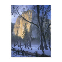 YOSEMITE NATIONAL PARK, CALIFORNIA. USA. Light