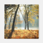 Yosemite National Park Cards and Gifts Refrigerator Magnets