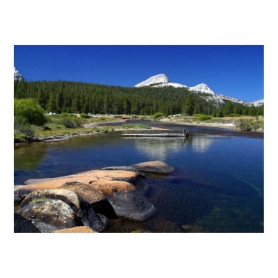 Yosemite National Park Poster by art_prints_posters