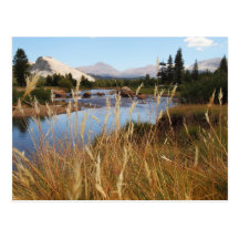 Yosemite National Park, Tuolumne Meadows Postcard