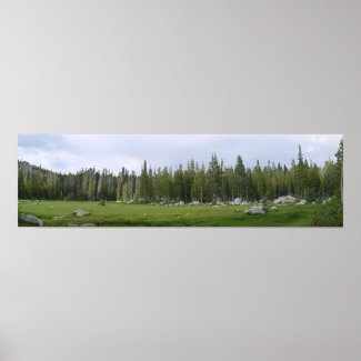 Yosemite Panorama Print