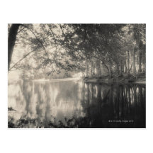 Yosemite Park, Wyoming Postcards