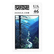 Yosemite postage