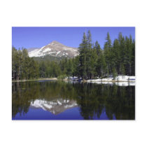 Yosemite Postcard