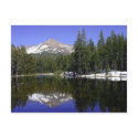 Yosemite Postcard by SunrisePhotos Yosemite Postcard