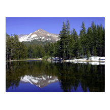 Yosemite Postcard
