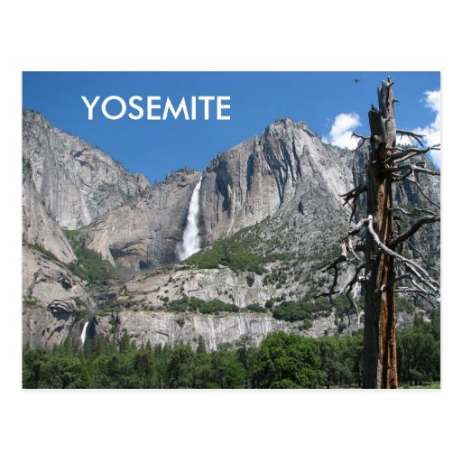 Yosemite Postcard! Postcard Zazzle