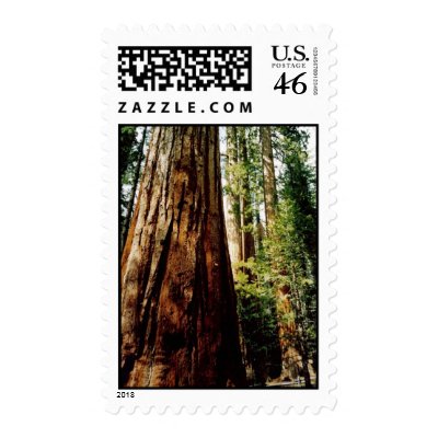Yosemite Redwood Postage by quetzal323