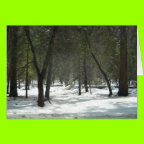 Yosemite Spring1 cards