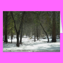 Yosemite Spring1 cards
