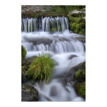 Yosemite Springs posters by mikewacker Yosemite Springs posters