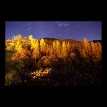 Yosemite Star Trails posters