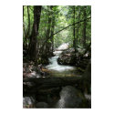 Yosemite stream print by l2ndojack Yosemite stream print