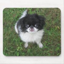 Yoshi Mouse Mat