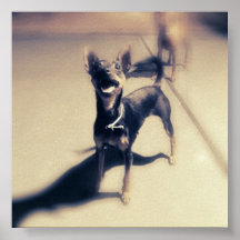 Yoshi the Min Pin Print