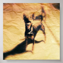 Yoshi the Min Pin Print