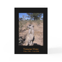 Yossarian - Legends Card by fkmp_store Yossarian - Legends Card
