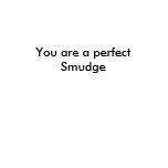 You are a perfect Smudge t-shirts